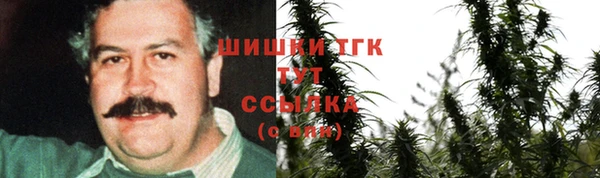 PSILOCYBIN Бородино