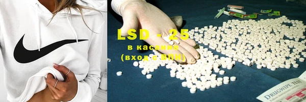 PSILOCYBIN Бородино