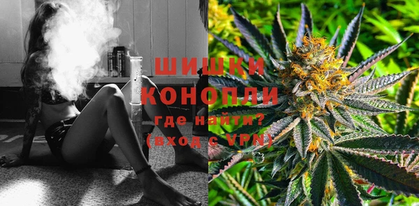 PSILOCYBIN Бородино