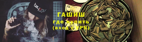 PSILOCYBIN Бородино