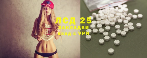 PSILOCYBIN Бородино