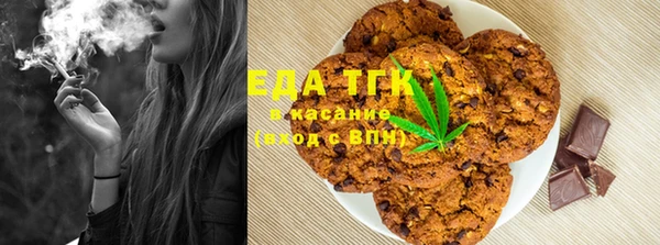 PSILOCYBIN Бородино