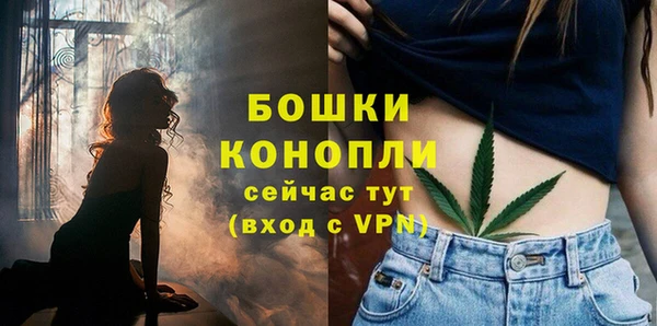 бошки Бронницы