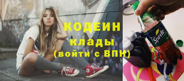 PSILOCYBIN Бородино