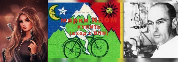 бошки Бронницы