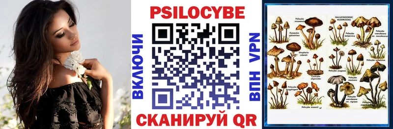 сколько стоит  Волжский  Псилоцибиновые грибы Cubensis 